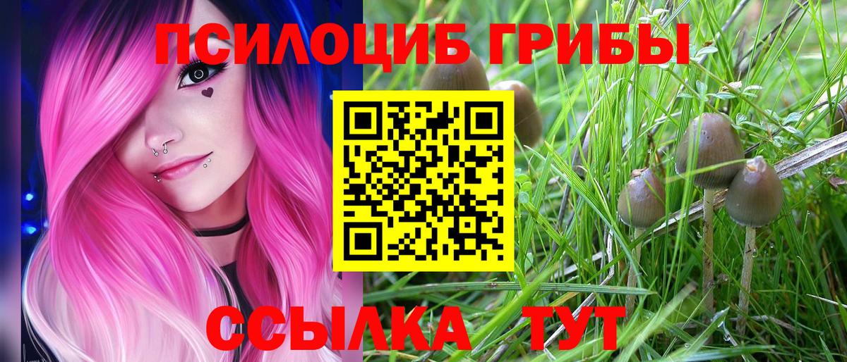 Галлюциногенные грибы мухоморы Славянск-на-Кубани