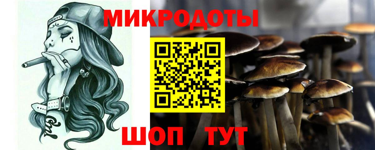 Славянск-на-Кубани  Псилоцибиновые грибы Psilocybe  Галлюциногенные грибы Magic Shrooms  Вход с VPN 
